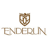 Enderun colleges logo